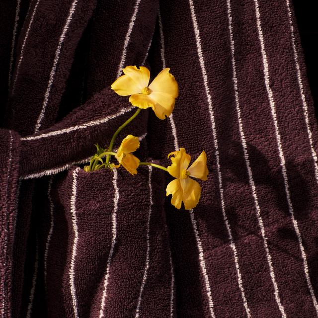Aven Stripe Robe