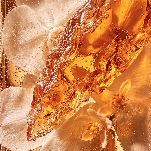 Coast Candle - Champagne, Amber & Orange Blossom