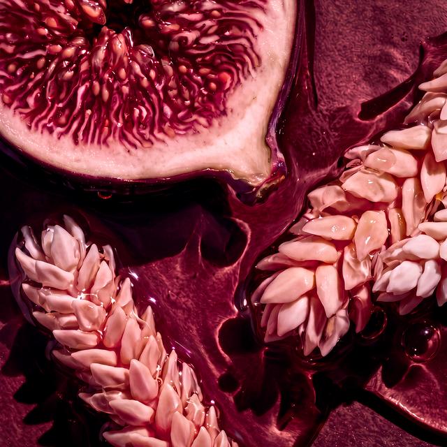 Fico Candle - Alfresco Fig & Coconut Flower