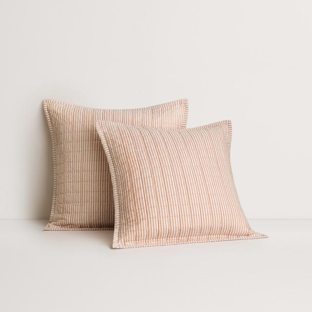 Reilly Stripe Duo European Sham in spice