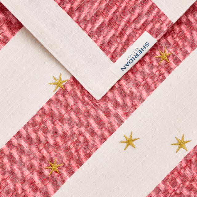 Twinkle Placemat Set - Two Pack