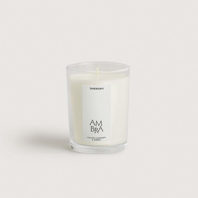 Ambra Candle - Italian Lavender & Amber