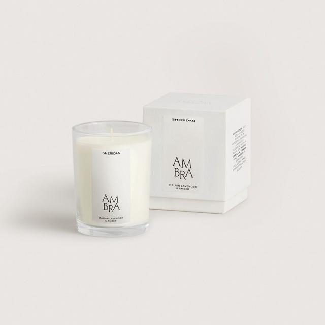 Ambra Candle - Italian Lavender & Amber