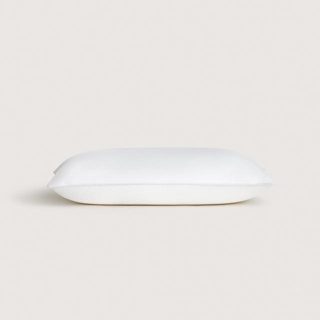 Deluxe Feather & Down Latex Pillow